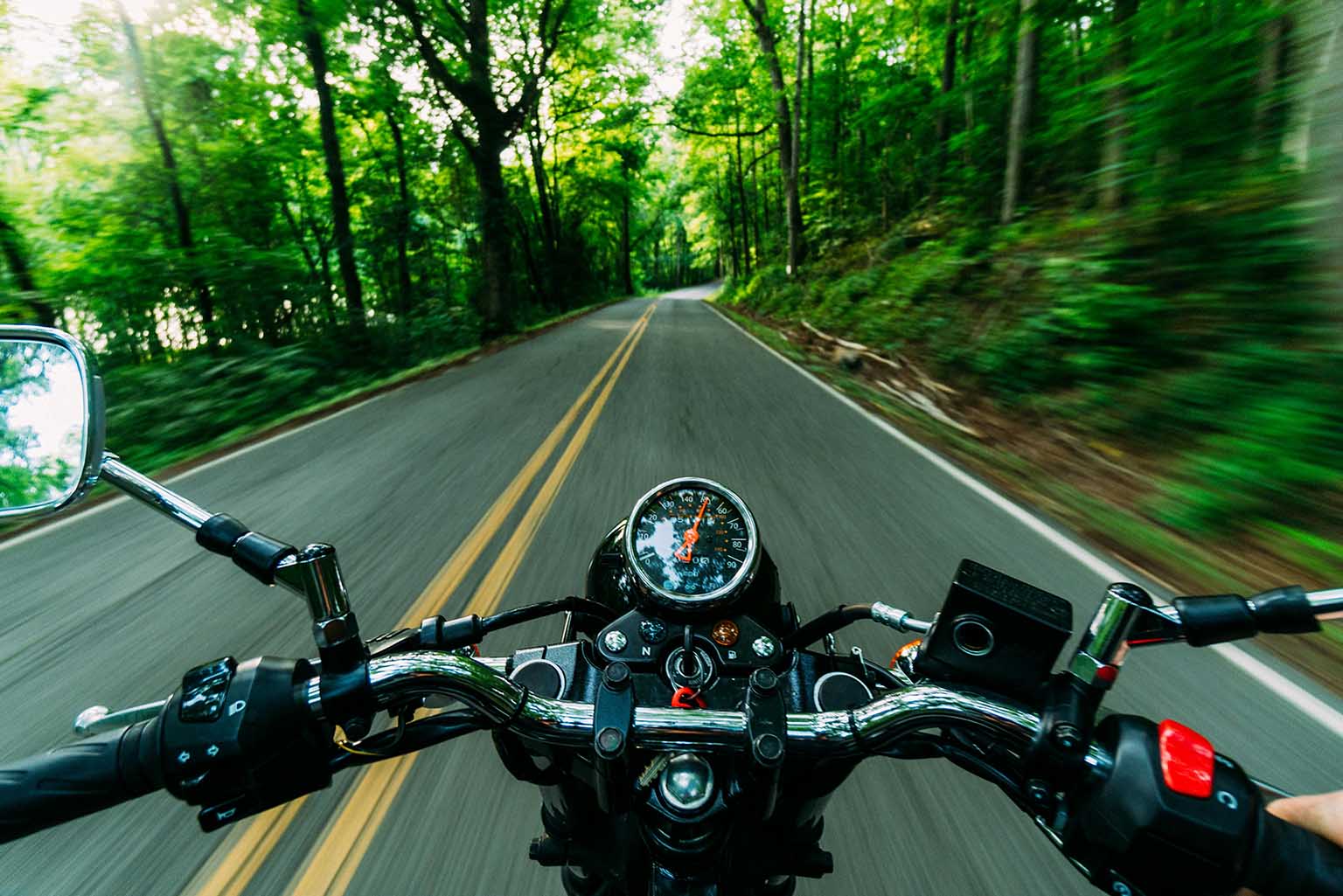 Motorcyclist's perspective on a curving road through a lush forest.  -  https://www.rf-ins.com/